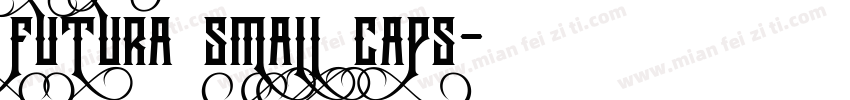 futura small caps字体转换